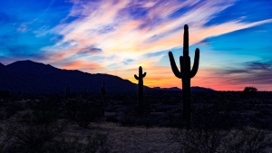 Moving to Phoenix Tips