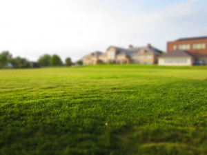 Why Would I Use a Service for Maintaining My Home?