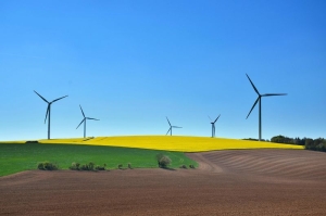 Reasons to Switch to Renewable Energy Sources