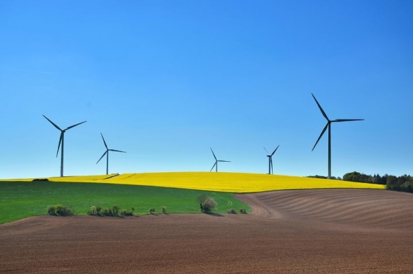 Reasons to Switch to Renewable Energy Sources