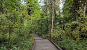 A Comprehensive Guide to Oregon's Cost of Living