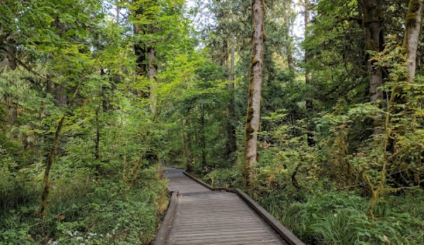 A Comprehensive Guide to Oregon's Cost of Living