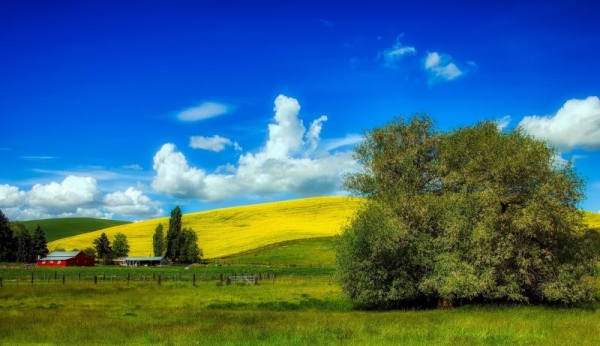 Finding a Place to Call Home: What Makes Sandpoint, Idaho Special?