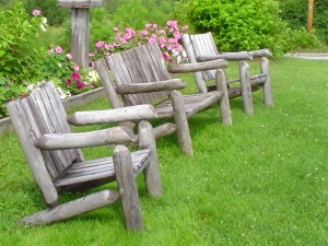 Long Island Backyard