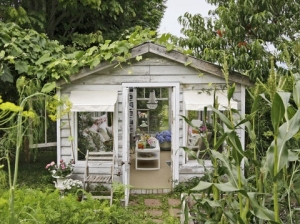 Quaint Greenhouse