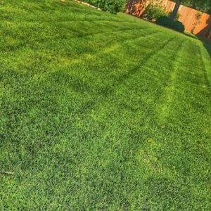 Advantages of Employing a Landscape Company