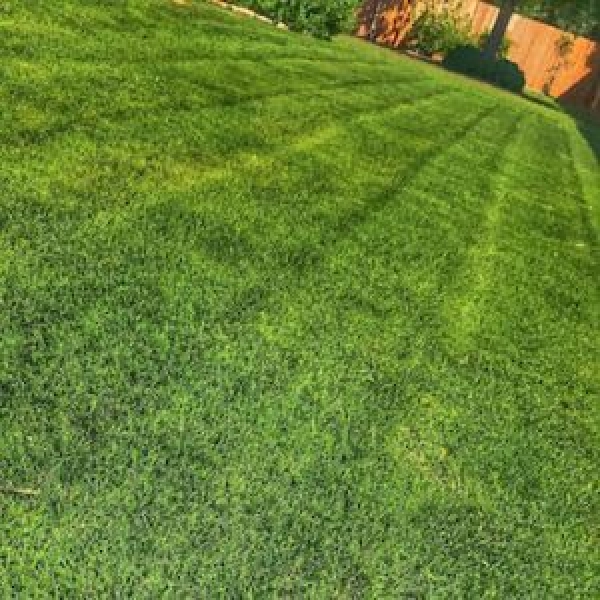 Advantages of Employing a Landscape Company