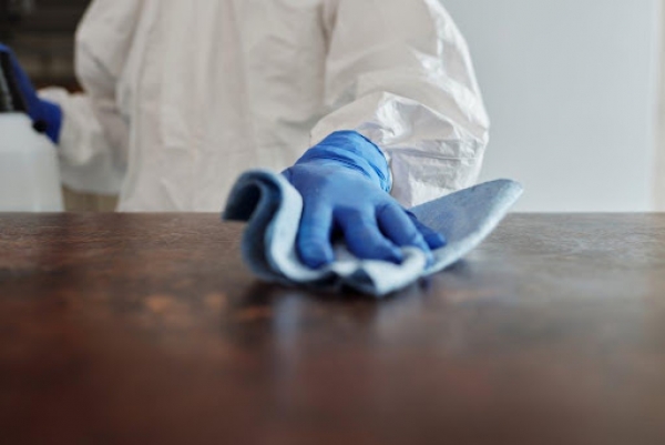 Four Ways To Keep Pests Away From Your Home Or Workplace