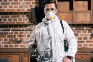 Why You Should to Get a Pest Inspection Before Buying a House