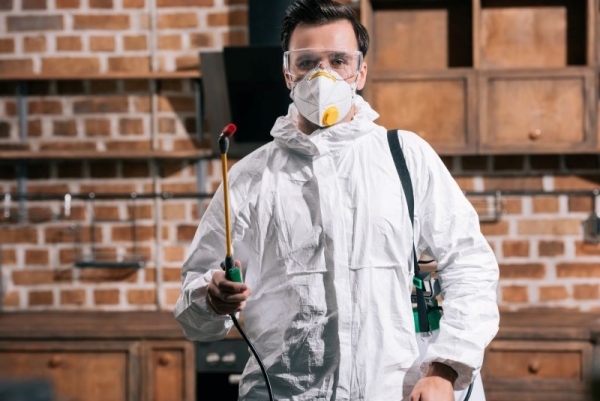 Why You Should to Get a Pest Inspection Before Buying a House