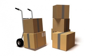REVIEW ON REMOVAL SOUTHAMPTON