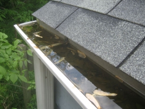 4 Terrible Things That Could Happen When You Neglect Home Maintenance