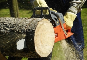 Types of chainsaw: the essential tools for our home