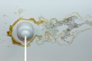 When Water Damage Strikes, Fast Action Makes All the Difference