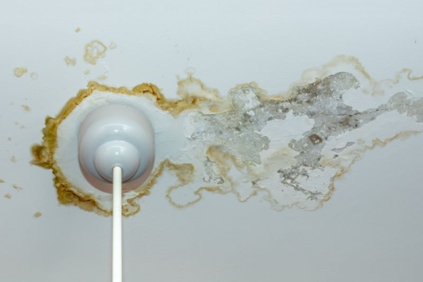 When Water Damage Strikes, Fast Action Makes All the Difference