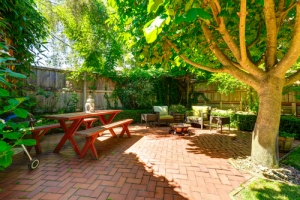 Tree Service Montgomery Tips To Reducing Overgrown Tree Backyards
