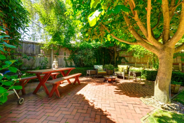 Tree Service Montgomery Tips To Reducing Overgrown Tree Backyards
