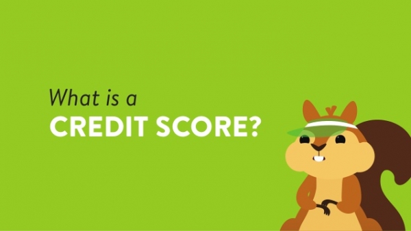 What Are Credit Scores?