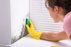 Hire a Professional Disinfection Services in Singapore to Remove Harmful Bacteria in Home