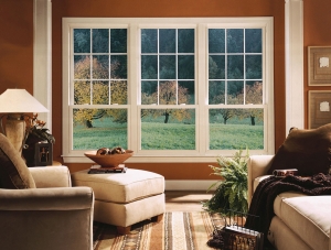 Type of Window You Should Choose