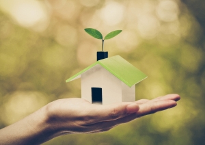 Why Energy Efficiency Matters in Today’s Real Estate Market