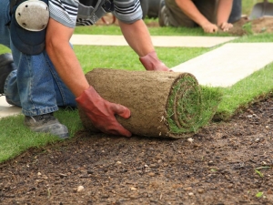 Landscaping