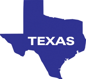 How to Rent an Apartment in Texas: A Comprehensive Guide