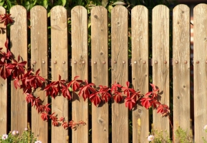 How to Boost Curb Appeal and Property Value with the Right Outdoor Upgrades