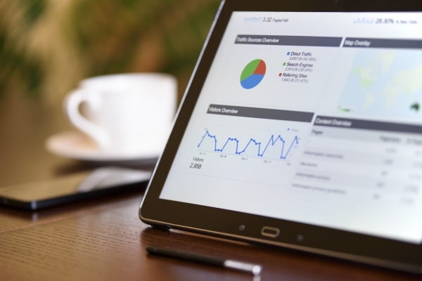 What is the meaning of IT Consulting?
