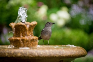 How to Enhance Your Garden with Elegant Outdoor Fountains