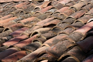 The Early Warning Signs of Roof Wear Most Homeowners Miss