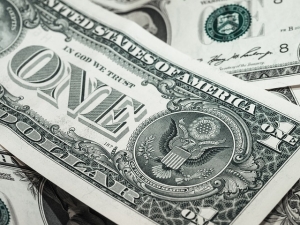 What is the Cost of Moving?