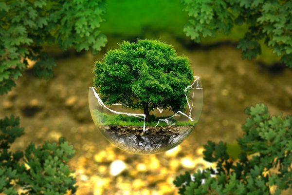 Making Your Home More Energy-Efficient