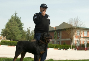 Are You Having a Party or Event and Need Services for Party Security: Hire Credible Experts