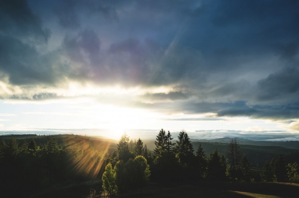 7 Tips for Building a Home in the Pacific Northwest