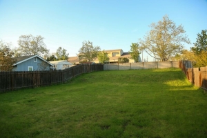 Is Your Empty Backyard Costing You Money?