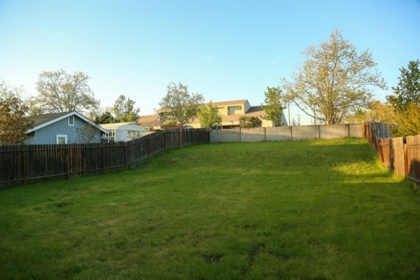 Is Your Empty Backyard Costing You Money?