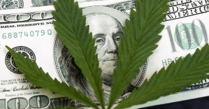 Cannabis Business Financing