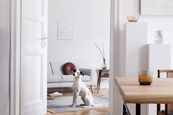 Loft Interior Design Tips That Make the Best of Limited Space