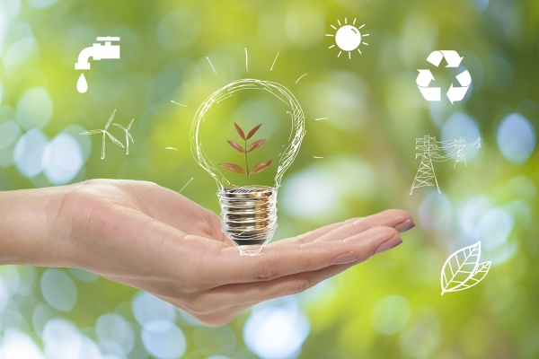 Eco-Friendly Solutions for Living Room Revamps