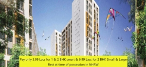 tata new haven ribbon walk