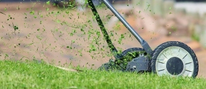What to Look for When Partnering With a Landscaping Company