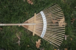 Your Essential Spring Lawn Care Guide