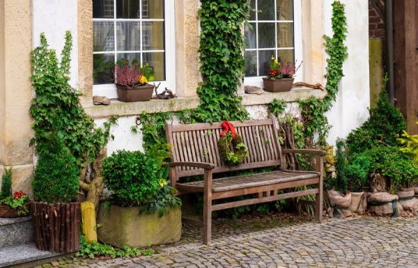 Creating a Beautiful Garden: Everything You Need to Know