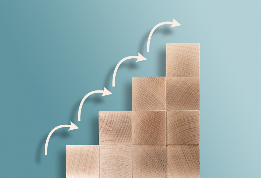 Women's Wisdom Wednesday: Mid Year Check - Four Pillars of Income Review