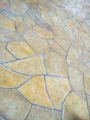 Pros and Cons of Stamped Concrete vs Pavers
