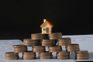 Investor Home Purchases Plateau After a Pandemic-Era Rollercoaster Ride