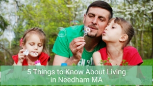 1. Homes for Sale in Needham MA- Know why Needham is a great place to live in Massachusetts!