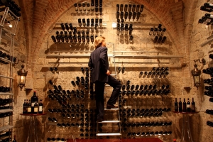 What You Need To Know About Getting a Wine Cooler for Your House