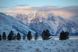 Be With Nature In A Jackson Hole Real Estate Property